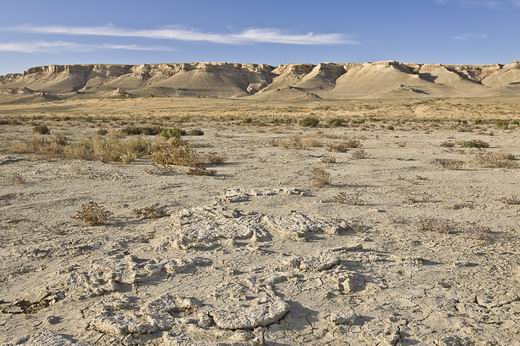 пески Аралкум, дно бывшего Аральского моря